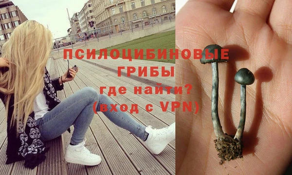 jwh Алзамай