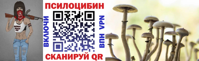 Галлюциногенные грибы Psilocybe  цена наркотик  Омутнинск 